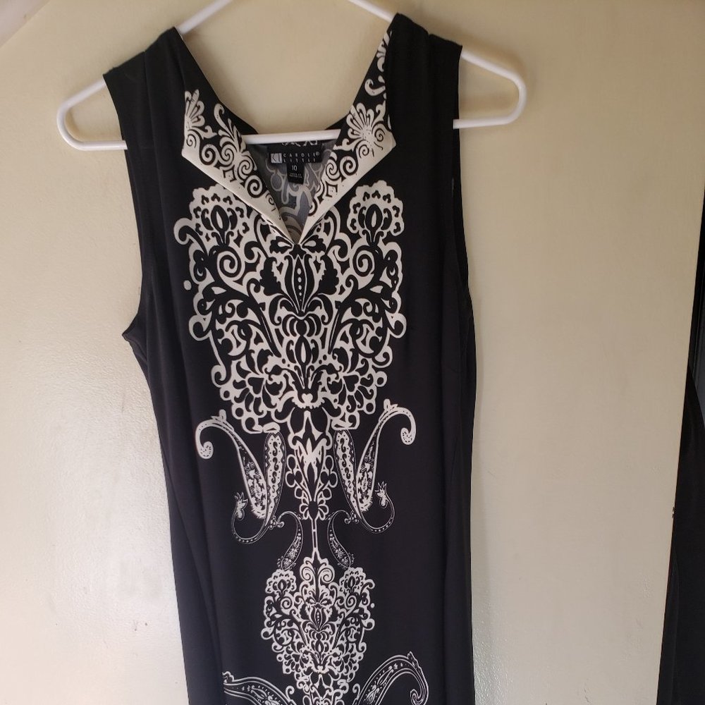Carol Little Slinky Black and White dress